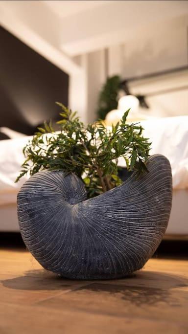 Novel Acropolis Apartment アテネ エクステリア 写真