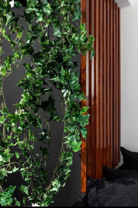 Novel Acropolis Apartment アテネ エクステリア 写真